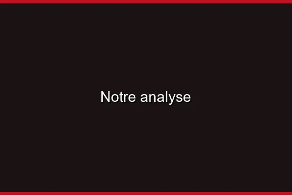 Notre analyse